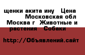 щенки акита ину › Цена ­ 45 000 - Московская обл., Москва г. Животные и растения » Собаки   